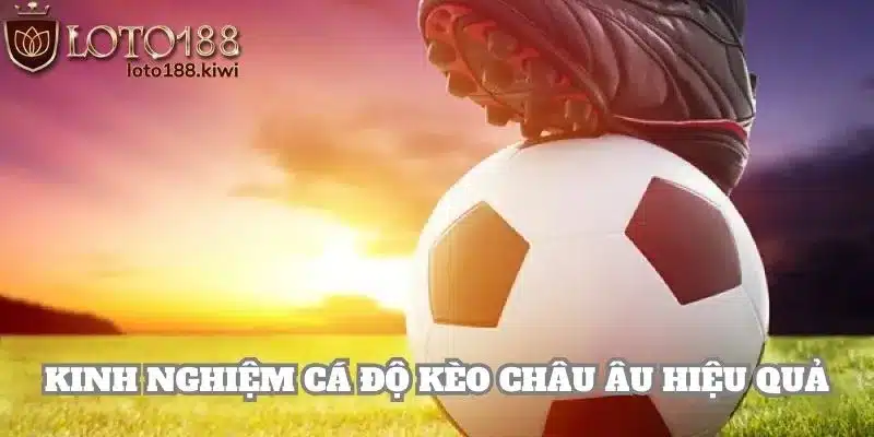 Chia sẻ kinh nghiệm giúp người chơi đặt cược kèo châu âu chắc thắng