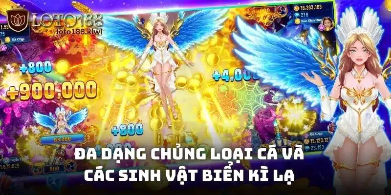 Đa dạng chủng loại cá và các sinh vật biển kì lạ
